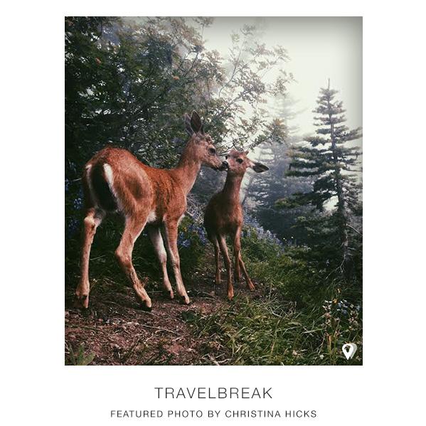 TravelBreak.net - Places to Visit in Washington State