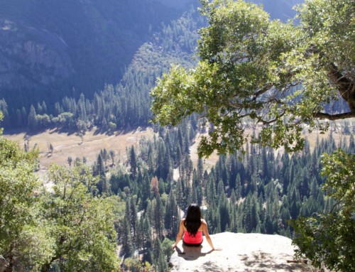 Unplug: Goodbye Technology, Hello Yosemite National Park