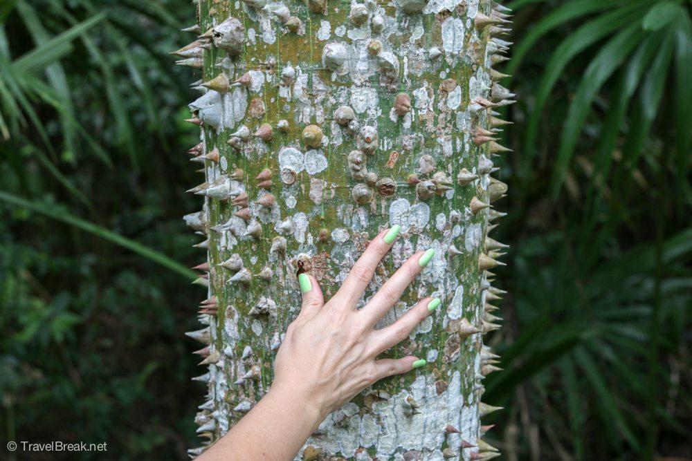 TravelBreak.net - Travel Photos: Mexico's Tropical Southern Point