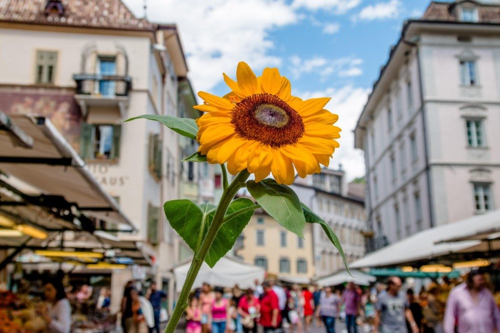 TravelBreak.net - The Dolomites, Alps, and South Tyrol travel photography