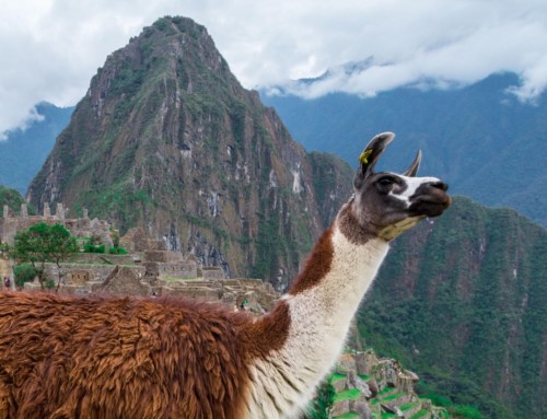 5 Peruvian Sites You Missed Haulin’ Bum to Machu Picchu (Photos)