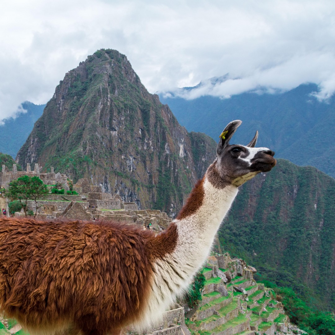 5 Peruvian Sites You Missed Haulin’ Bum to Machu Picchu (Photos)