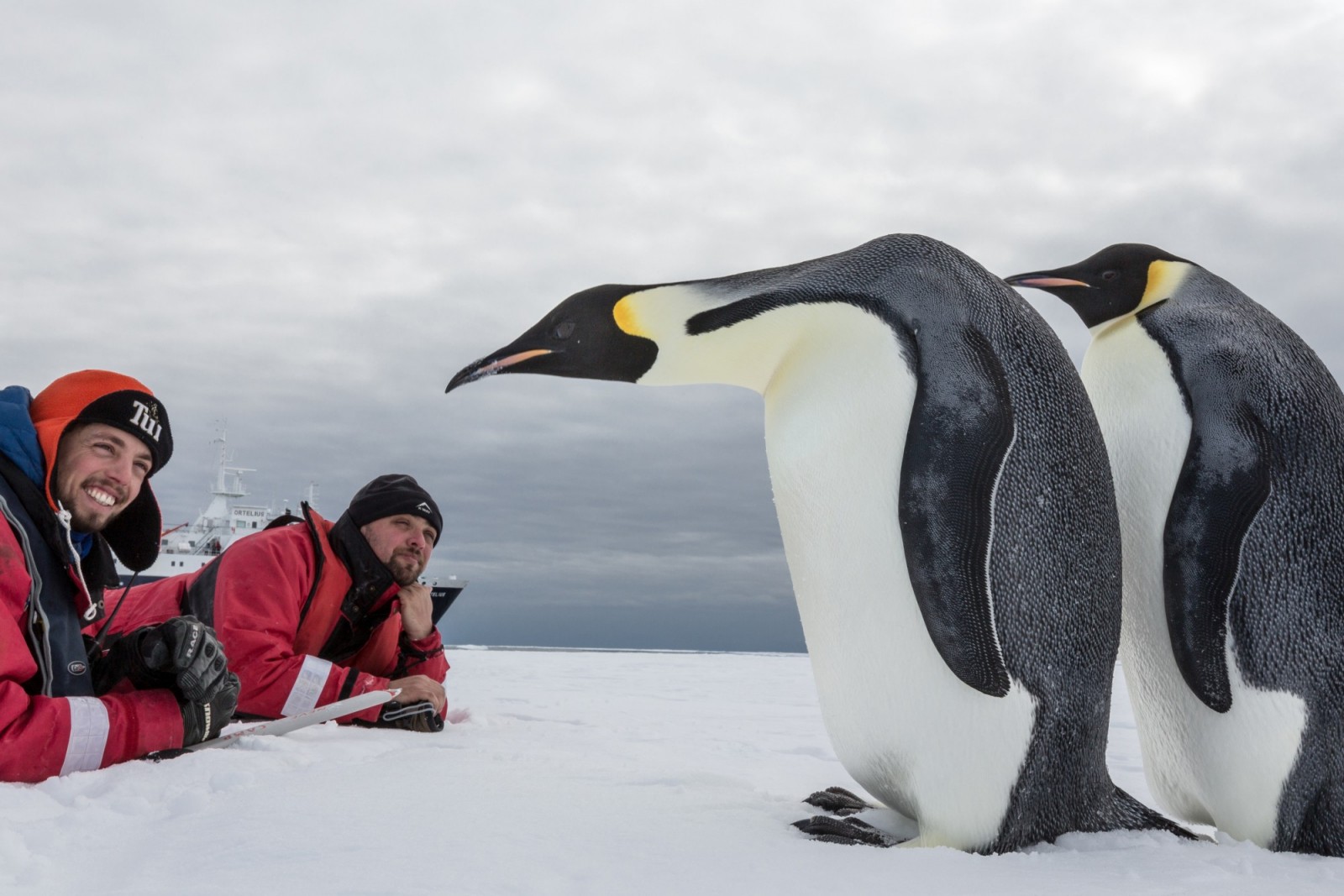 Visit Antartica and see penguins | Travel-Break.net