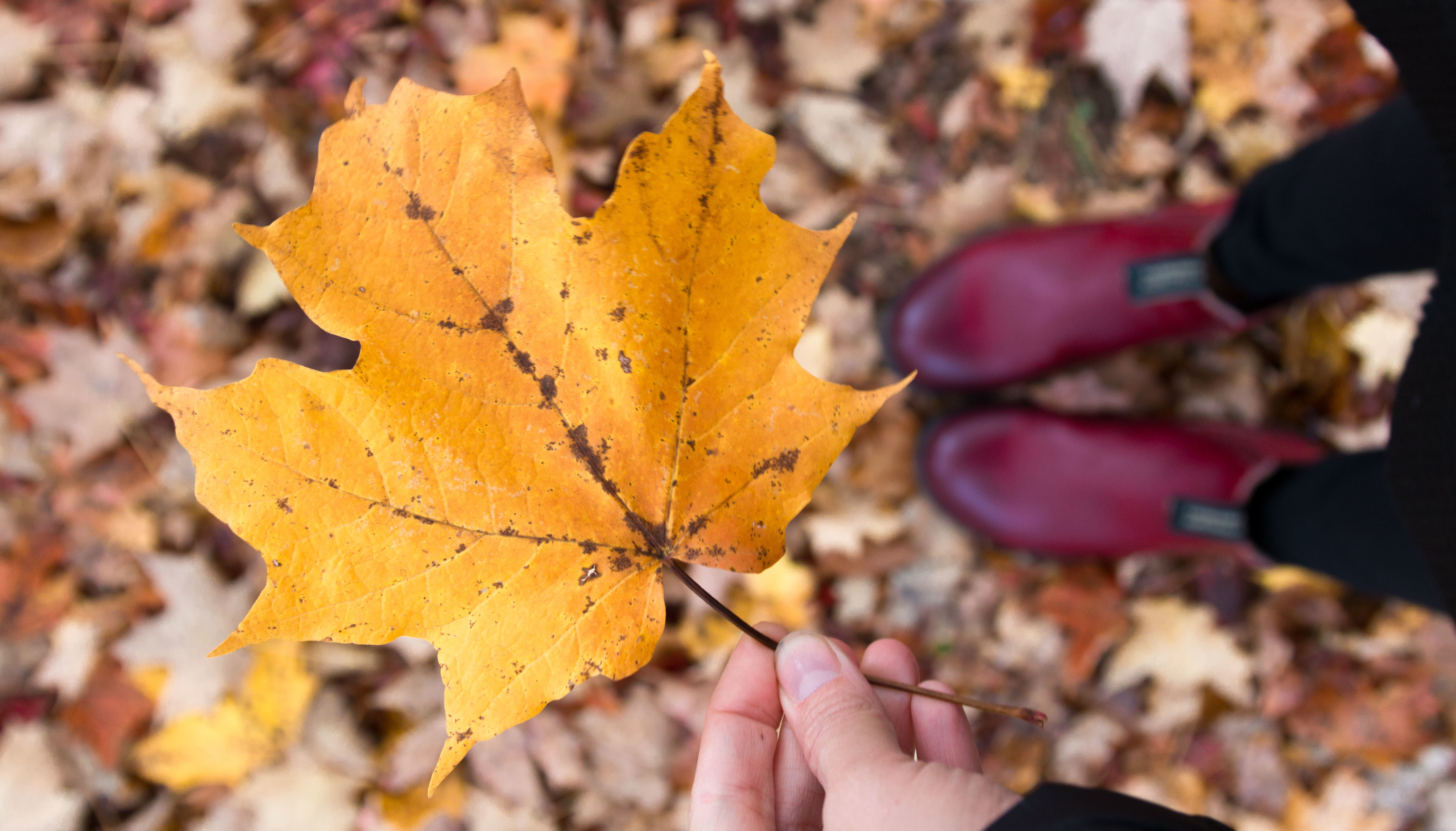 Things to Do in Autumn Vermont - Road Trip Photo Guide | Travel-Break.net