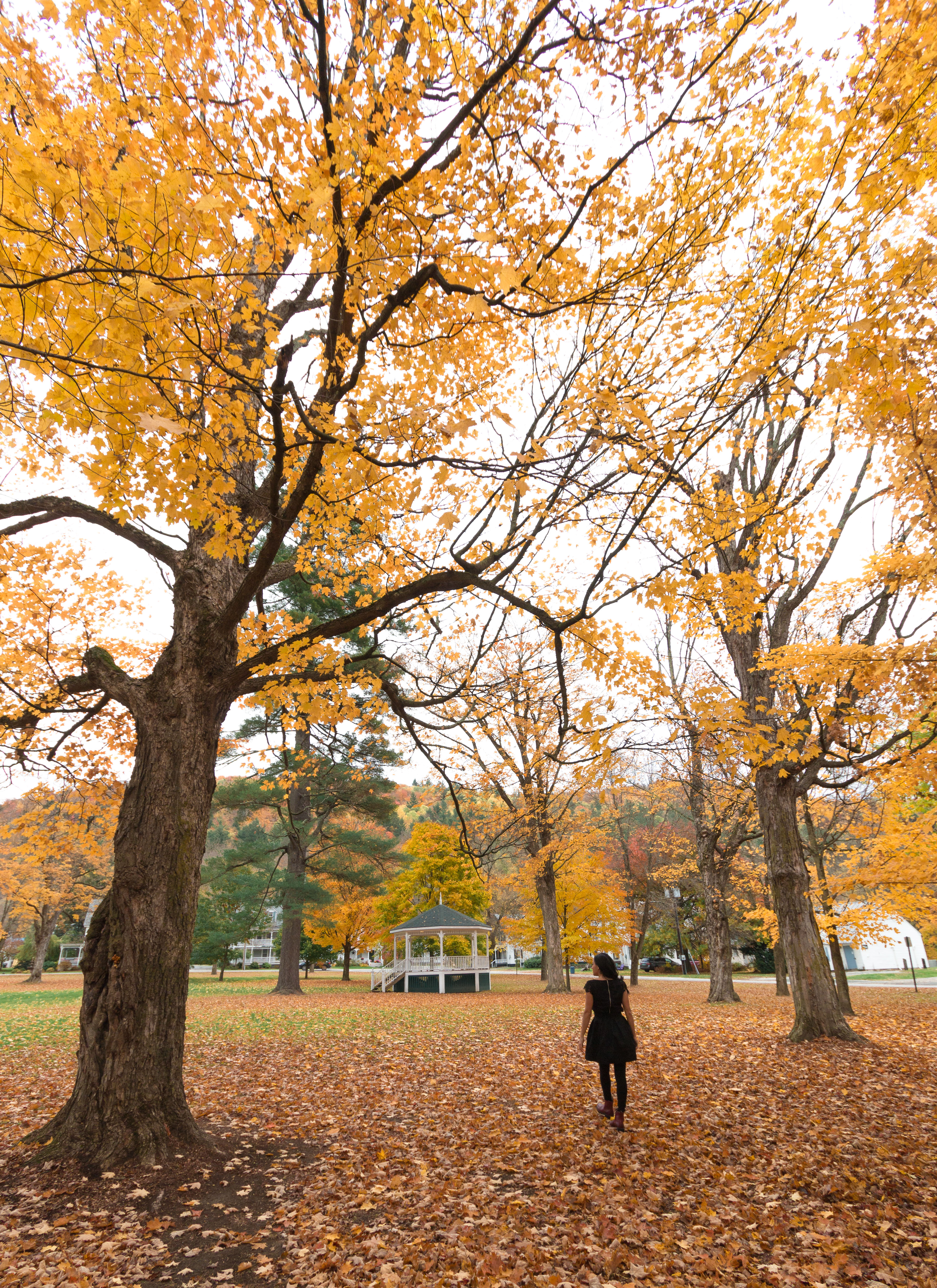 Things to Do in Autumn Vermont - Road Trip Photo Guide | Travel-Break.net