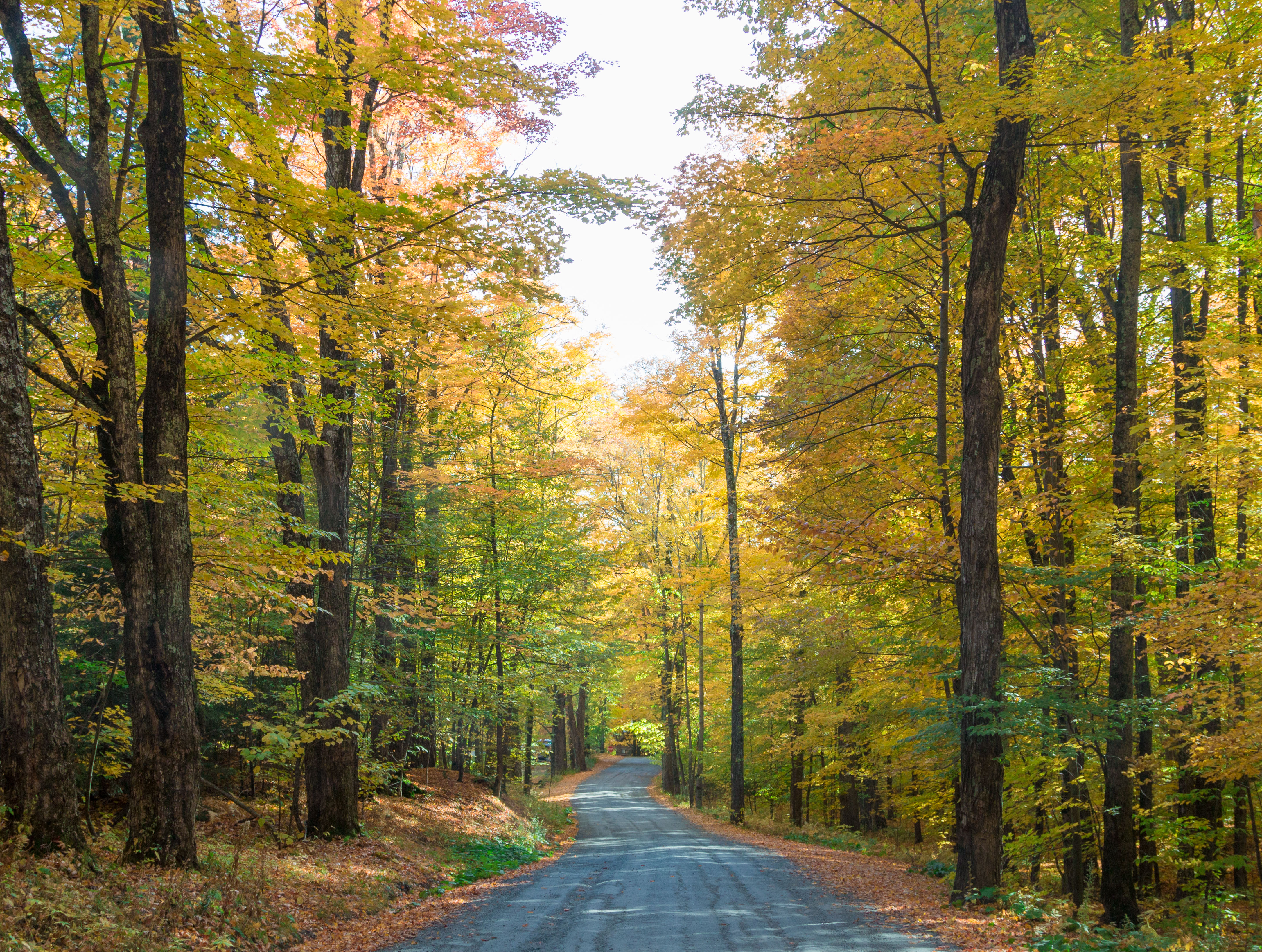 Things to Do in Autumn Vermont - Road Trip Photo Guide | Travel-Break.net