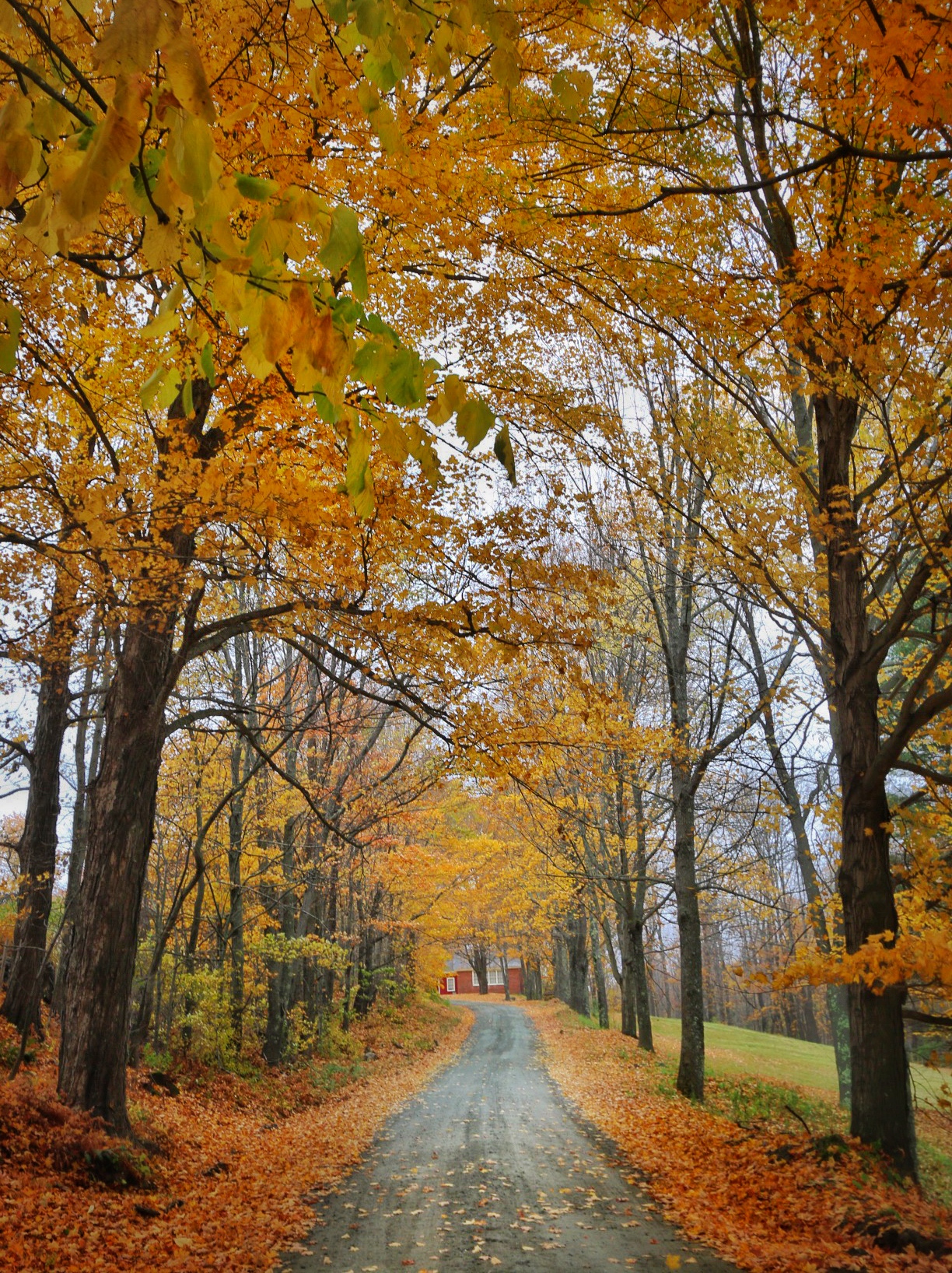 Things to Do in Autumn Vermont - Road Trip Photo Guide | Travel-Break.net