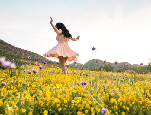 Walker Canyon Lake Elsinore, California Super Bloom