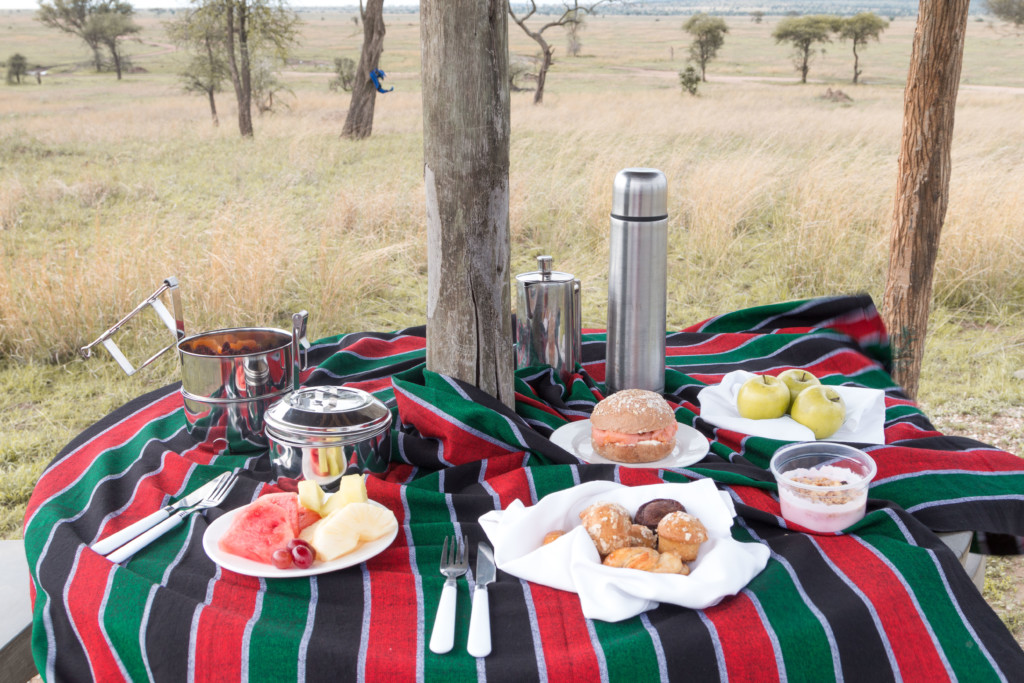  This is safe, reserved picnic area -- hosted by the Four Seasons Serengeti Lodge