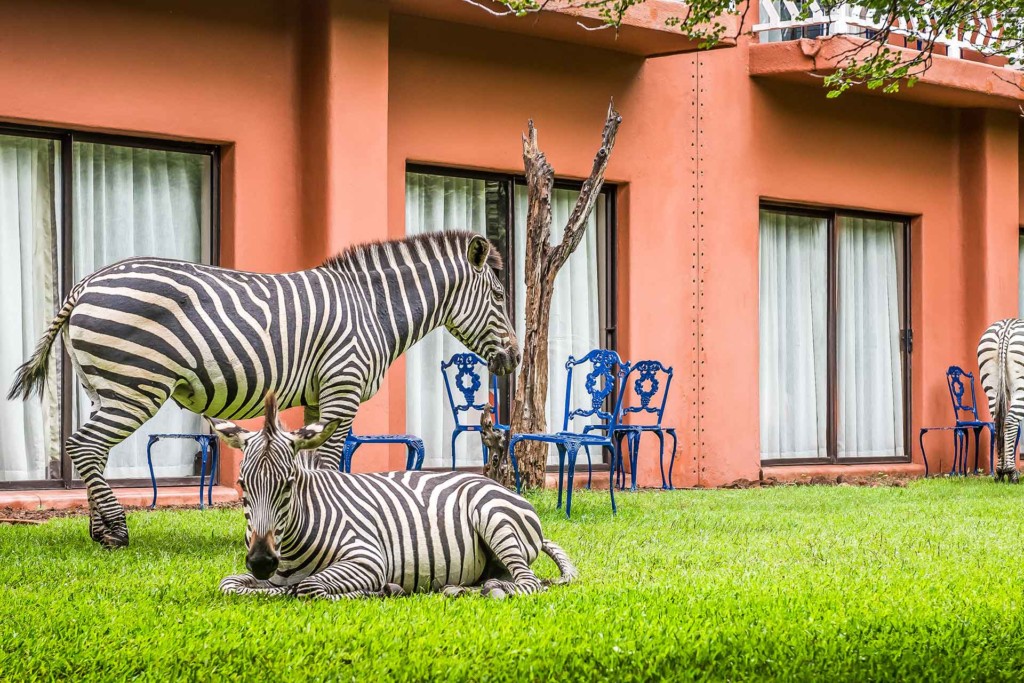 AVANII Hotel Victoria Falls Accommodation 