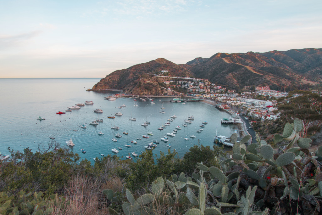 Viewpoints/ Look Out Points and a Hike in Avalon | Things to Do in Catalina Island from the blog Travelbreak.net